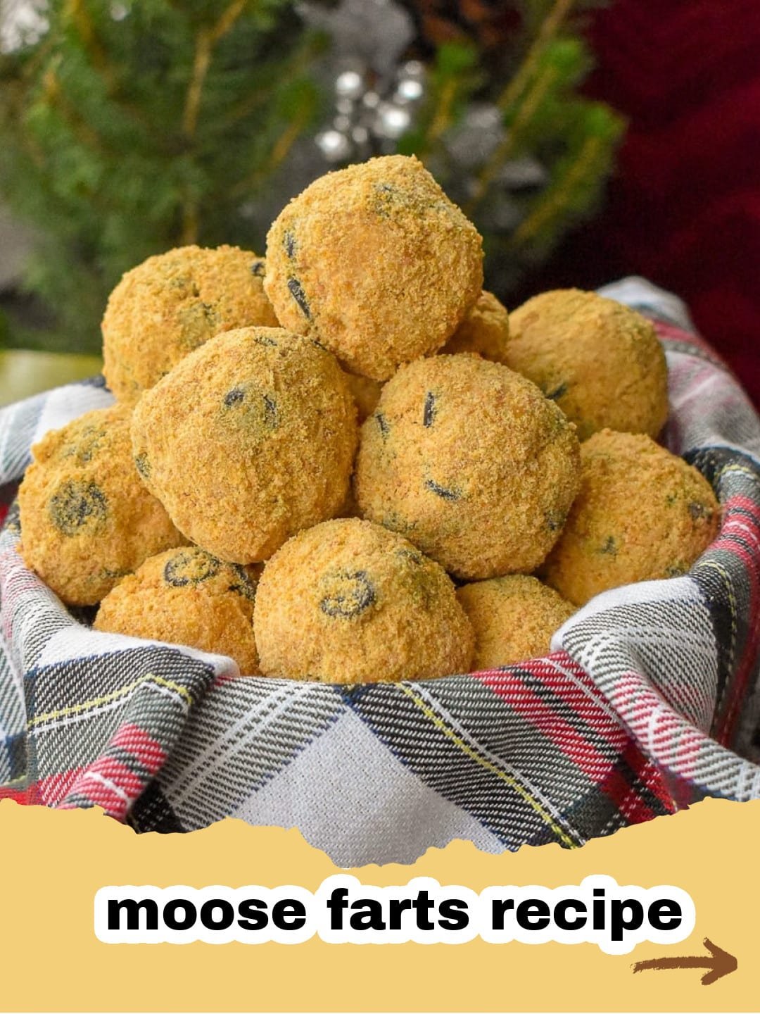 The Whimsical & Delicious Story of No-Bake Moose Farts 1 A plate of whimsical no-bake Moose Farts, rolled in shredded coconut, with some chocolate chips visible.