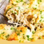 Close-up of a baking dish filled with golden-brown Chicken Alfredo Lasagna Roll Ups, topped with melted mozzarella and fresh parsley.