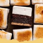 Close-up of Fudgy S'mores Brownies with toasted marshmallows and melted chocolate on top, showing a gooey interior.